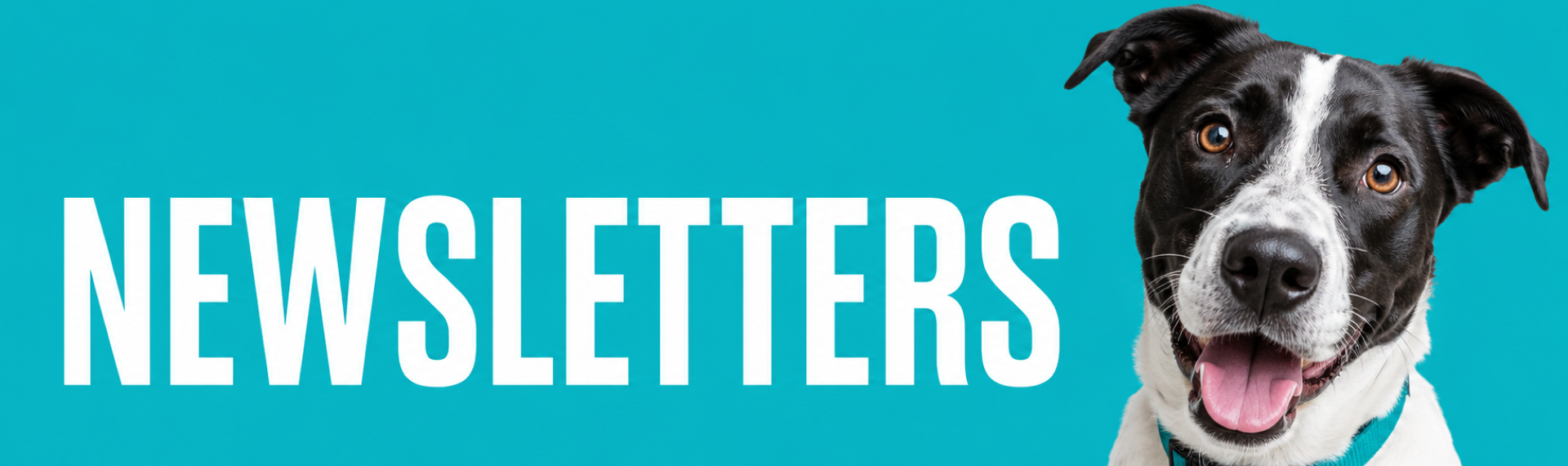 Newsletters