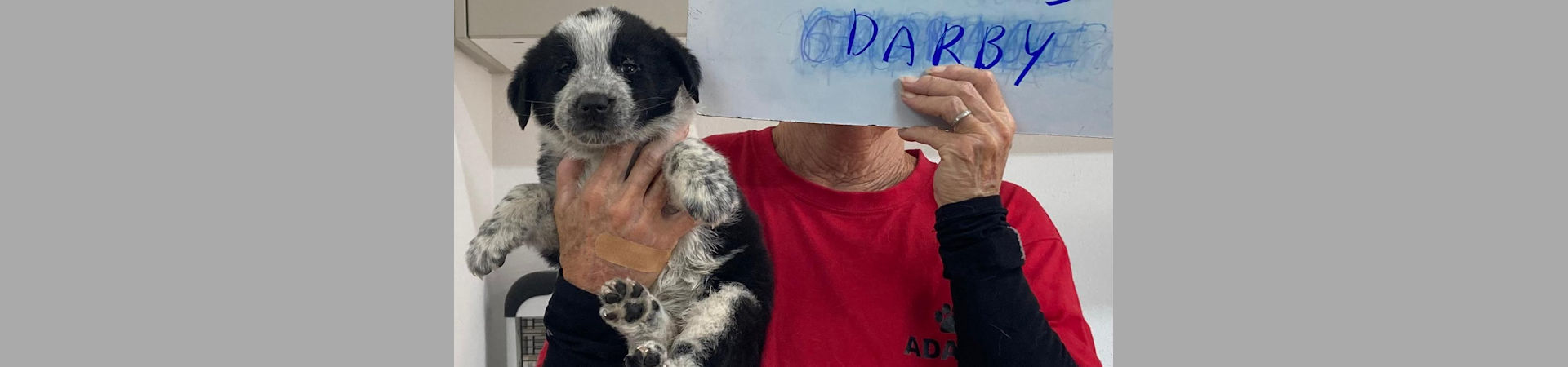 Darby