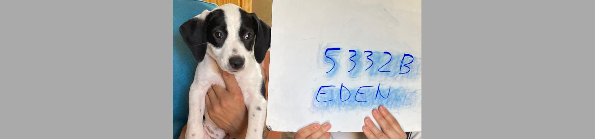Eden