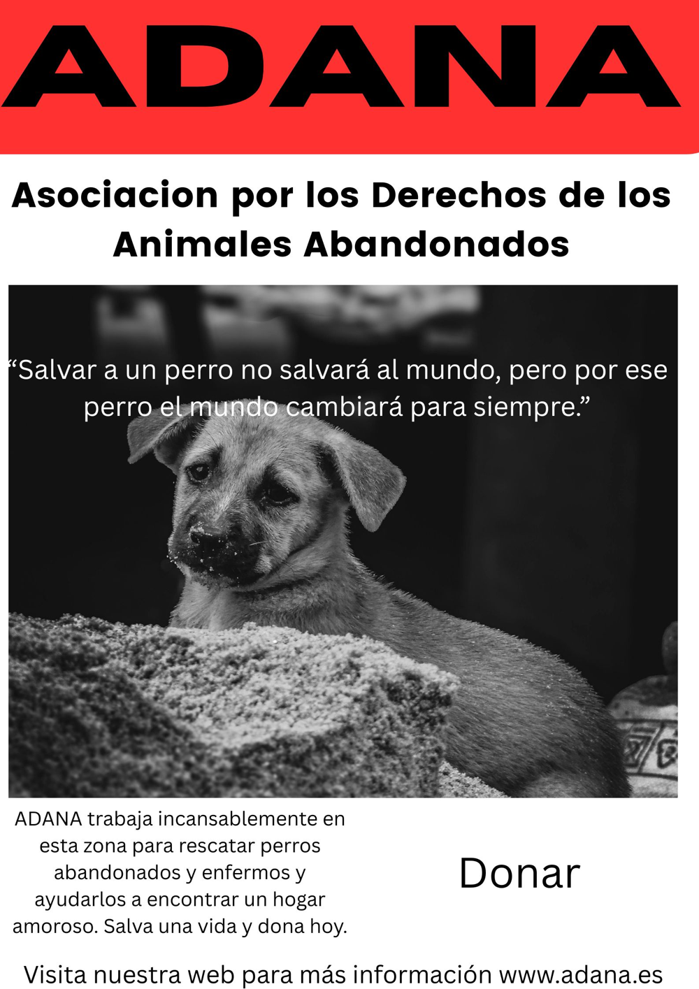 donar con donorbox
