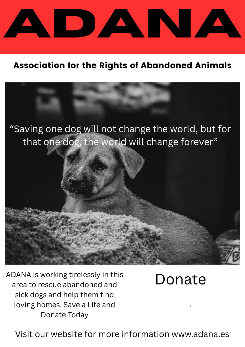donate via donorbox